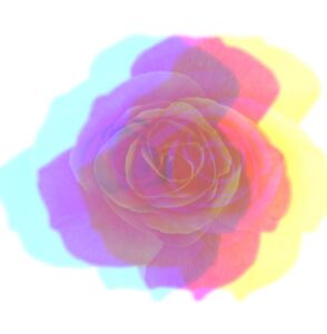 Psicoterapia para Mulheres Balneário Camboriú Psicanalista